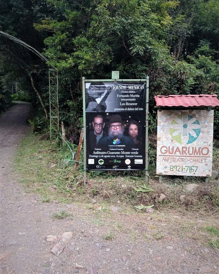 Guarumo, Monte verde, Costa Rica